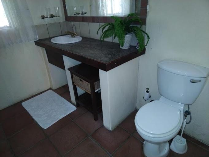 Buona Notte Bed & Breakfast Johannesburg Bagian luar foto