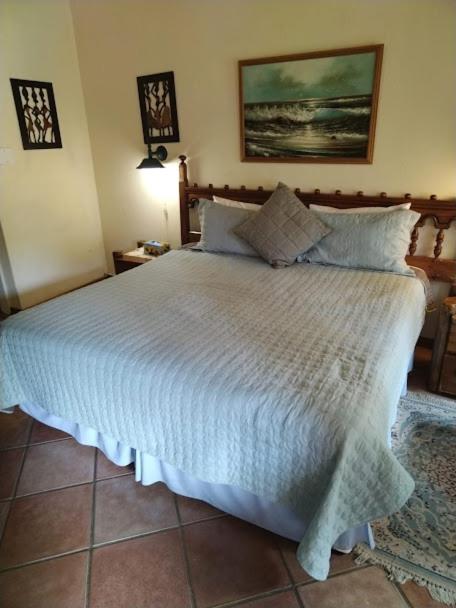 Buona Notte Bed & Breakfast Johannesburg Bagian luar foto